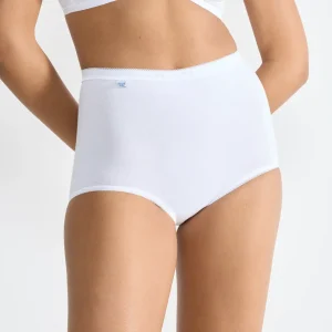 Culotte Basic+ Maxi Bi-Pack